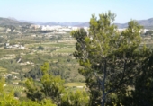 Terreny no urbanitzable en venda a la España, Benissa, ref.: TR113947 foto