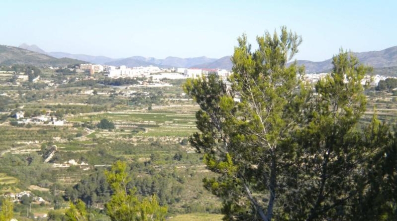 Alicante - Benisa - 14574m2