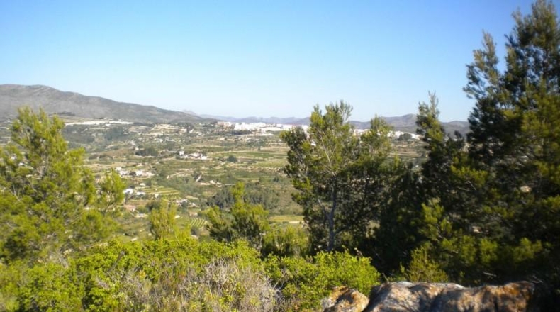 Alicante - Benisa - 14574m2