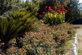 Foto 10