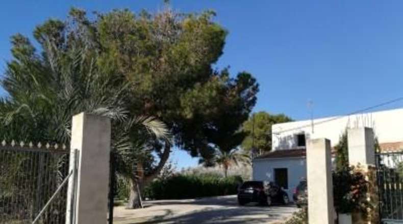 Alicante - Orihuela - 7889m2