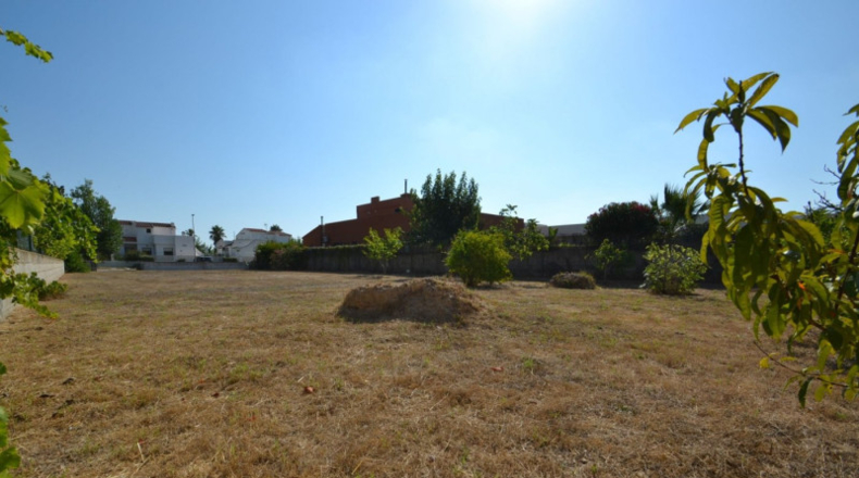 Tarragona - Deltebre - 840m2