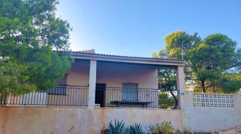 Alicante - Crevillente - 10000m2