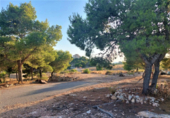 Casa de camp amb terreny en venda a la España, Crevillent, ref.: TR139919 foto