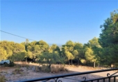 Casa de camp amb terreny en venda a la España, Crevillent, ref.: TR139919 foto