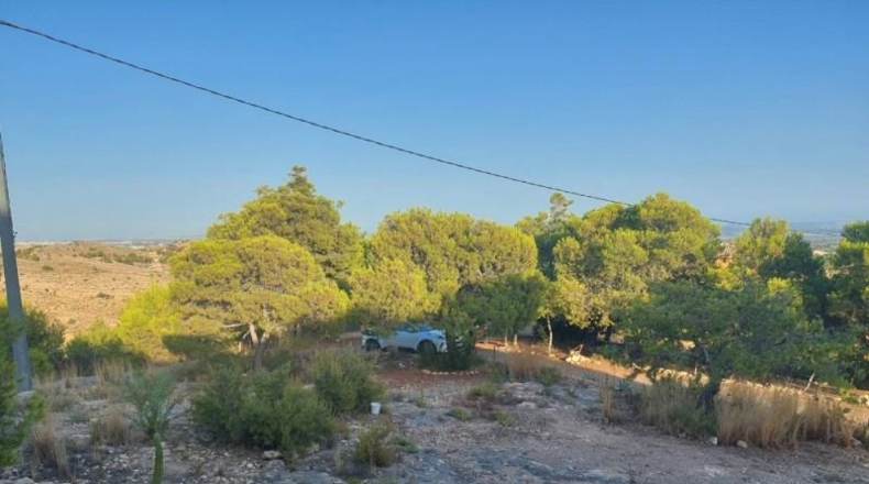Alicante - Crevillente - 10000m2