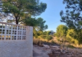 Casa de camp amb terreny en venda a la España, Crevillent, ref.: TR139919 foto