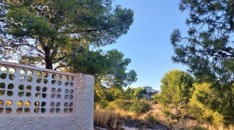 Alicante - Crevillente - 10000m2