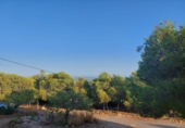 Casa de camp amb terreny en venda a la España, Crevillent, ref.: TR139919 foto