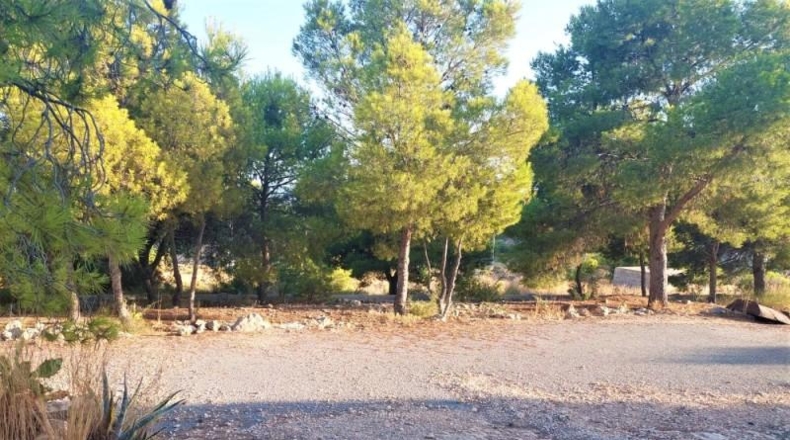 Alicante - Crevillente - 10000m2