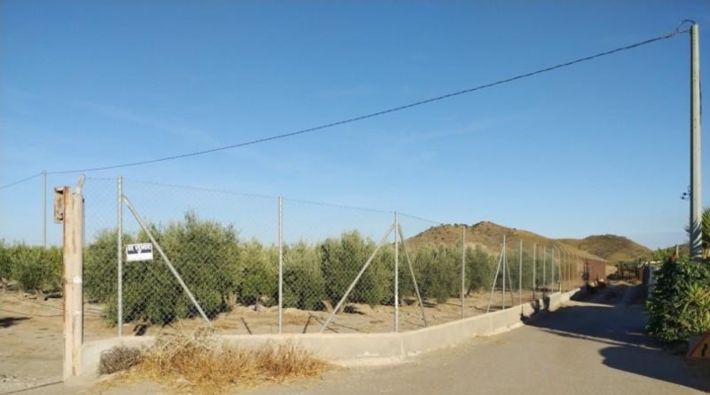 Múrcia - Puerto Lumbreras - 20000m2