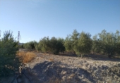 Land suitable for development for sale on España, Puerto Lumbreras, ref: TR118609 photo