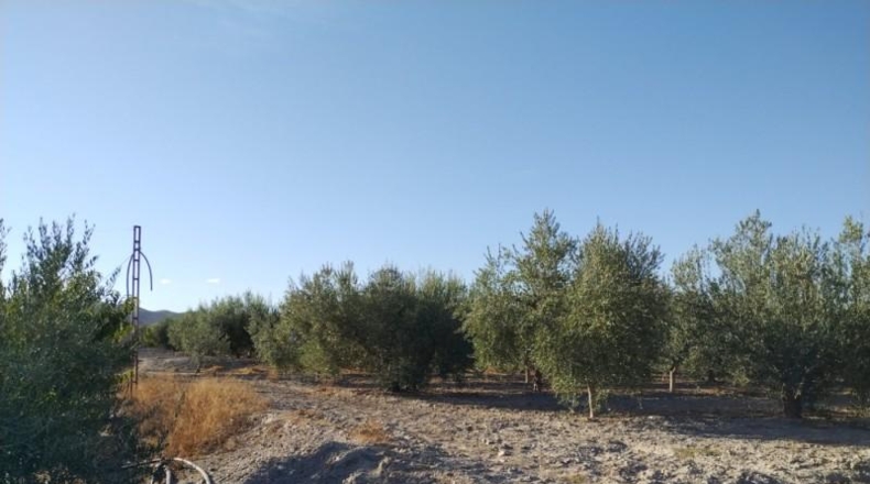 Múrcia - Puerto Lumbreras - 20000m2