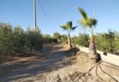 Land suitable for development for sale on España, Puerto Lumbreras, ref: TR118609 photo