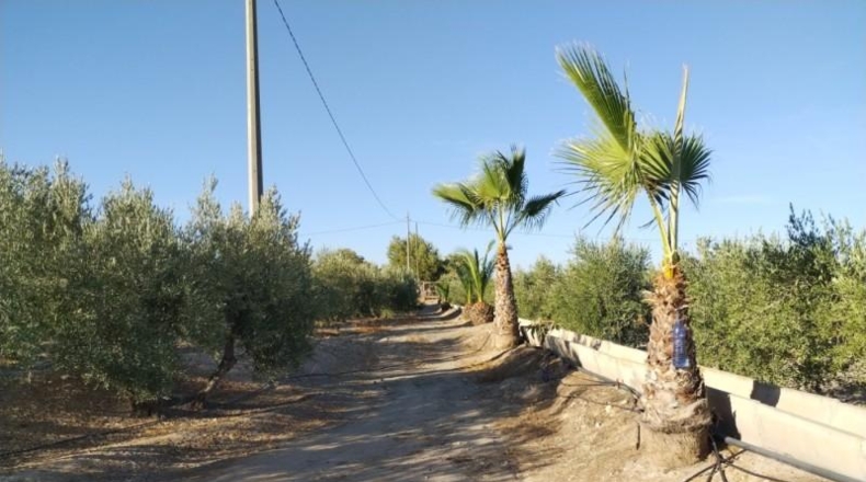 Múrcia - Puerto Lumbreras - 20000m2