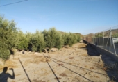 Land suitable for development for sale on España, Puerto Lumbreras, ref: TR118609 photo