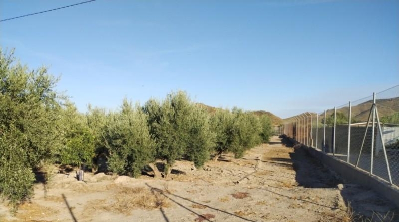 Múrcia - Puerto Lumbreras - 20000m2