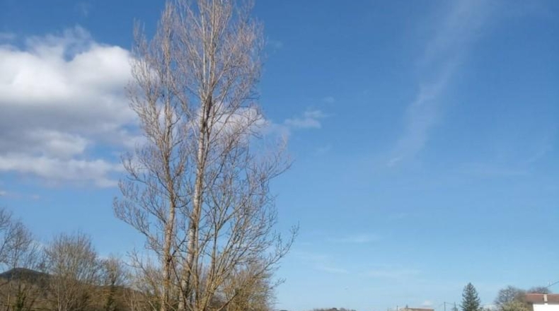 Burgos - Villasuso de Mena - 3250m2