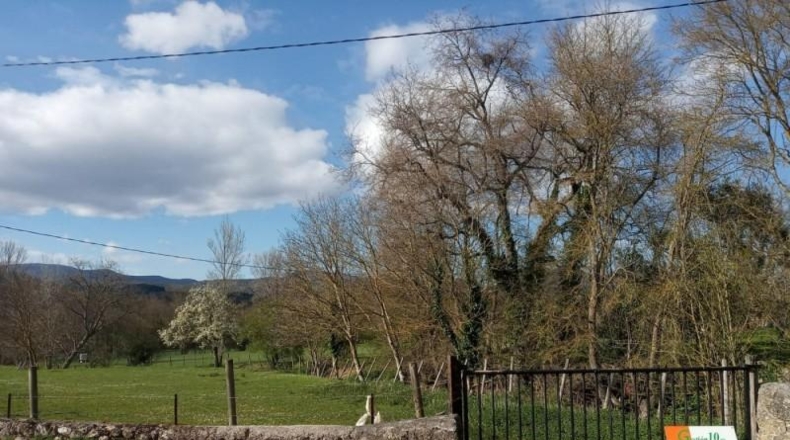 Burgos - Villasuso de Mena - 3250m2