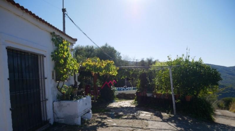 Cádiz - Ubrique - 13000m2