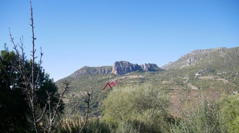 Cádiz - Ubrique - 13000m2