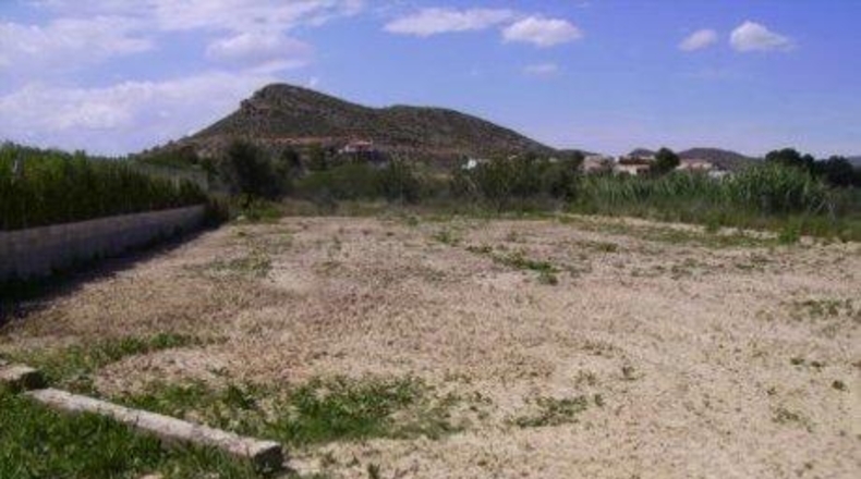 Múrcia - Calasparra - 5005m2