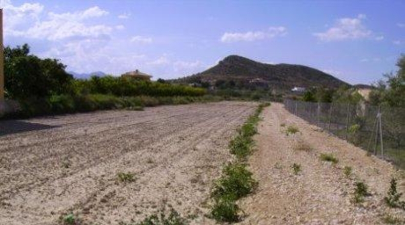 Múrcia - Calasparra - 5005m2