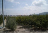Non-developable land for sale on España, Calasparra, ref: TR119451 photo