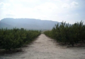 Non-developable land for sale on España, Calasparra, ref: TR119451 photo