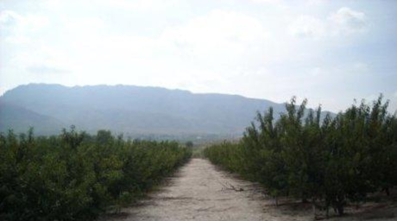 Múrcia - Calasparra - 30000m2