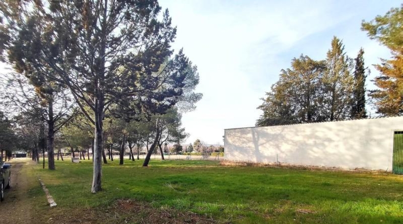 Ciudad Real - Argamasilla de Calatrava - 26800m2