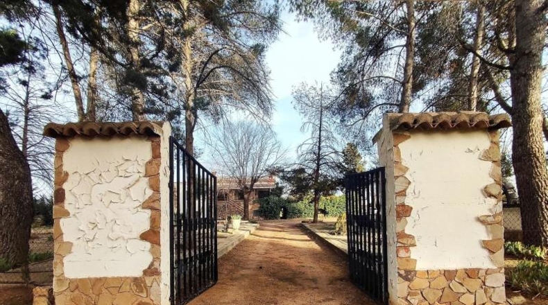 Ciudad Real - Argamasilla de Calatrava - 26800m2