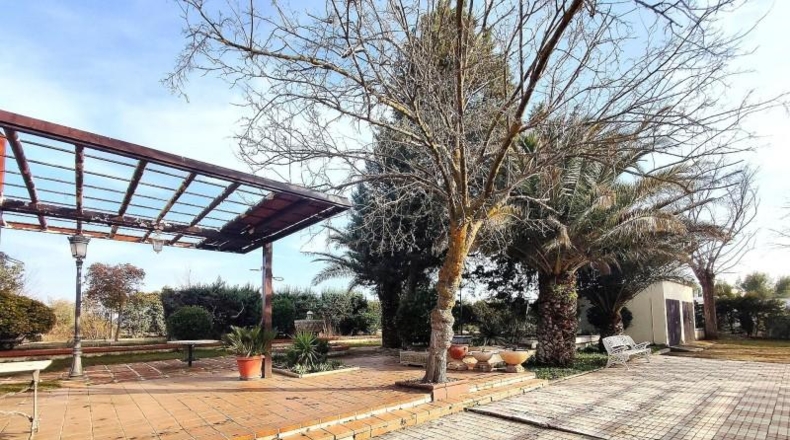 Ciudad Real - Argamasilla de Calatrava - 26800m2