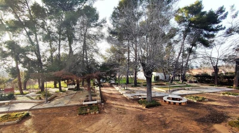 Ciudad Real - Argamasilla de Calatrava - 26800m2