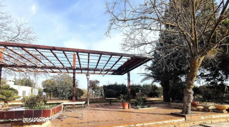 Ciudad Real - Argamasilla de Calatrava - 26800m2