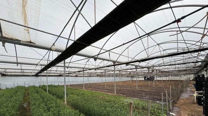 Cádiz - Чипиона - 3481m2