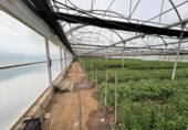 Земля, подлежащая урбанизации на продажу у города Чипиона Фото