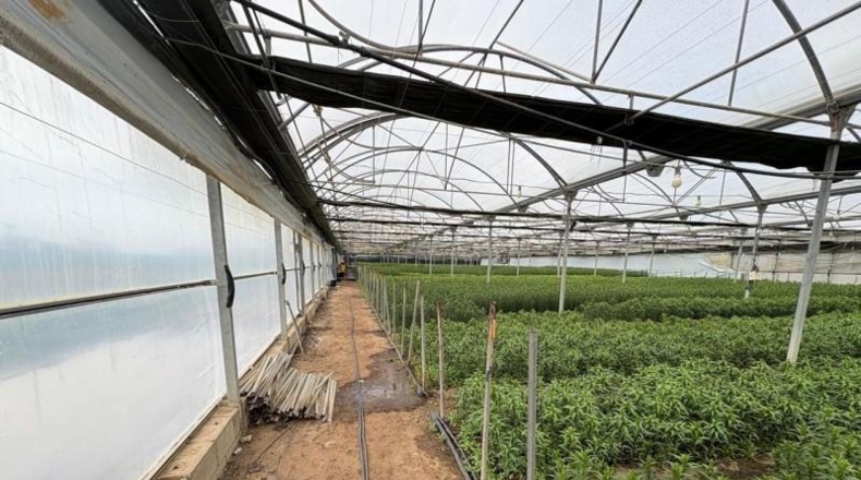 Cádiz - Чипиона - 3481m2