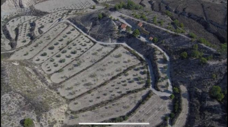 Murcia - Abanilla - 40000m2