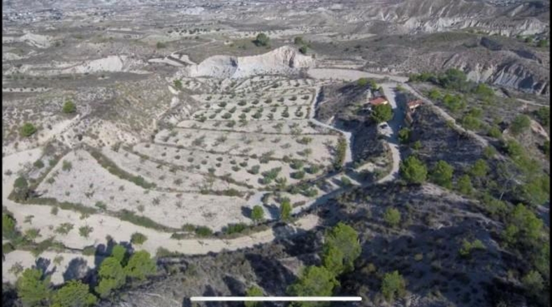 Murcia - Abanilla - 40000m2