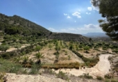 Finca rústica en venta en la España, Abanilla, ref: TR345519 foto