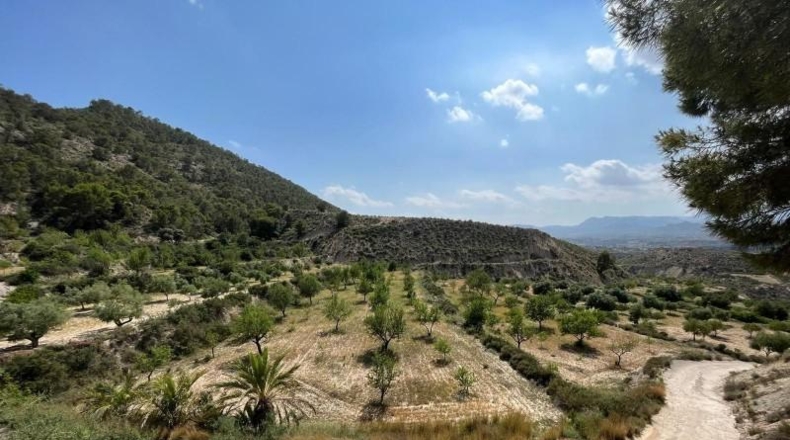 Murcia - Abanilla - 40000m2