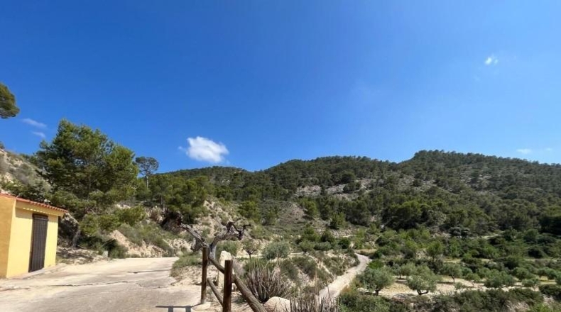 Murcia - Abanilla - 40000m2
