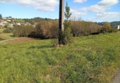 Non-developable land for sale on España, Oruña, ref: TR362836 photo