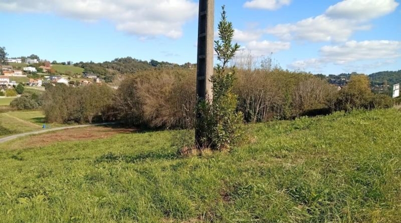 Cantabria - Oruña - 4131m2