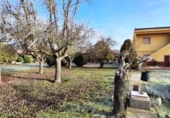 Casa de campo con terreno en venta en la España, Almenara de Tormes, ref: TR365433 foto