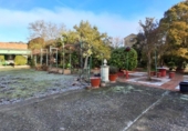 Casa de campo con terreno en venta en la España, Almenara de Tormes, ref: TR365433 foto