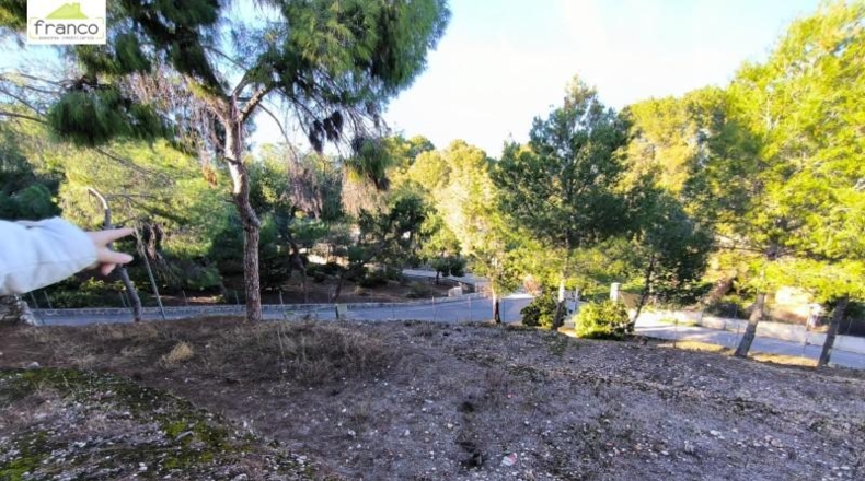 Murcia - Las Torres de Cotillas - 1200m2