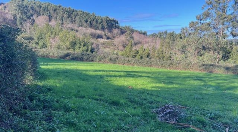 Cantabria - Camargo - 16139m2