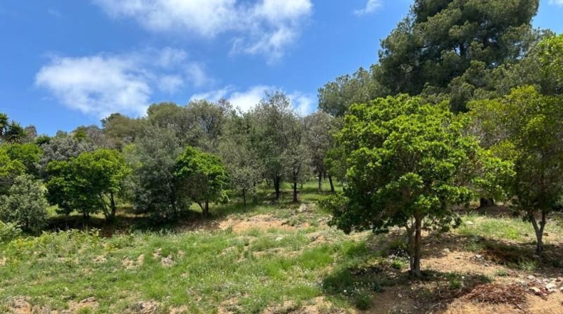 Barcelona - Sant Fost de Campsentelles - 1557m2